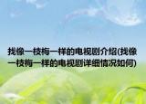 找像一枝梅一样的电视剧介绍(找像一枝梅一样的电视剧详细情况如何)