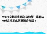 word文档是乱码怎么修复（乱码word文档怎么恢复简介介绍）