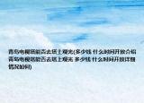 青岛电视塔能否去塔上观光(多少钱 什么时间开放介绍 青岛电视塔能否去塔上观光 多少钱 什么时间开放详细情况如何)
