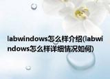 labwindows怎么样介绍(labwindows怎么样详细情况如何)