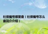 社保编号哪里查（社保编号怎么查简介介绍）