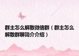 群主怎么解散微信群（群主怎么解散群聊简介介绍）