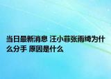 当日最新消息 汪小菲张雨绮为什么分手 原因是什么