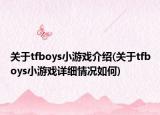 关于tfboys小游戏介绍(关于tfboys小游戏详细情况如何)