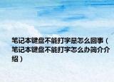 笔记本键盘不能打字是怎么回事（笔记本键盘不能打字怎么办简介介绍）