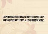 山西电机制造有限公司怎么样介绍(山西电机制造有限公司怎么样详细情况如何)