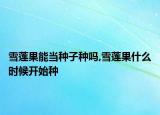 雪莲果能当种子种吗,雪莲果什么时候开始种