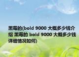 黑莓的(bold 9000 大概多少钱介绍 黑莓的 bold 9000 大概多少钱详细情况如何)