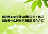 凤囚凰刘楚玉什么时候失忆（凤囚凰楚玉什么时候恢复记忆简介介绍）