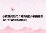 小夜曲托斯蒂介绍介绍(小夜曲托斯蒂介绍详细情况如何)