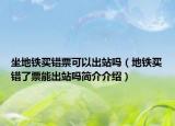 坐地铁买错票可以出站吗（地铁买错了票能出站吗简介介绍）