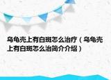 乌龟壳上有白斑怎么治疗（乌龟壳上有白斑怎么治简介介绍）