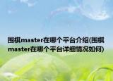 围棋master在哪个平台介绍(围棋master在哪个平台详细情况如何)