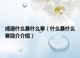 成语什么暴什么寒（什么暴什么寒简介介绍）