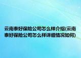 云南泰好保险公司怎么样介绍(云南泰好保险公司怎么样详细情况如何)