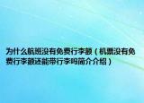 为什么航班没有免费行李额（机票没有免费行李额还能带行李吗简介介绍）