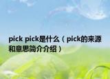 pick pick是什么（pick的来源和意思简介介绍）