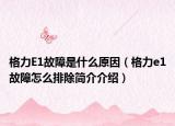 格力E1故障是什么原因（格力e1故障怎么排除简介介绍）