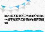 knne是不是黑天工作室的介绍(knne是不是黑天工作室的详细情况如何)