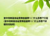 宫中侍郎皇帝最宠幸的禁脔\
