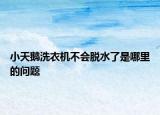 小天鹅洗衣机不会脱水了是哪里的问题