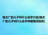 杨文广的儿子叫什么名字介绍(杨文广的儿子叫什么名字详细情况如何)
