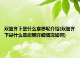 双管齐下是什么意思呢介绍(双管齐下是什么意思呢详细情况如何)