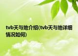 tvb天与地介绍(tvb天与地详细情况如何)