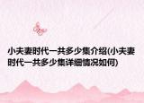 小夫妻时代一共多少集介绍(小夫妻时代一共多少集详细情况如何)