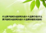 什么牌子的枕头最好枕头的十大品牌介绍(什么牌子的枕头最好枕头的十大品牌详细情况如何)