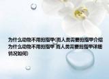 为什么动物不用剪指甲(而人类需要剪指甲介绍 为什么动物不用剪指甲 而人类需要剪指甲详细情况如何)