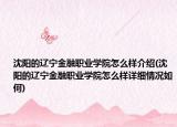 沈阳的辽宁金融职业学院怎么样介绍(沈阳的辽宁金融职业学院怎么样详细情况如何)