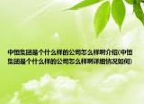 中恒集团是个什么样的公司怎么样啊介绍(中恒集团是个什么样的公司怎么样啊详细情况如何)