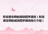 形容男生帅的词语四字词语（形容男生帅的成语四字词语简介介绍）
