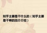 知乎主要是干什么的（知乎主要是干嘛的简介介绍）