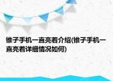 锥子手机一直亮着介绍(锥子手机一直亮着详细情况如何)