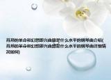 肖邦的革命和幻想即兴曲算是什么水平的钢琴曲介绍(肖邦的革命和幻想即兴曲算是什么水平的钢琴曲详细情况如何)