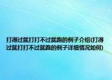 打得过就打打不过就跑的例子介绍(打得过就打打不过就跑的例子详细情况如何)
