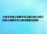 小鸡不好惹之咸蛋寺怎么画介绍(小鸡不好惹之咸蛋寺怎么画详细情况如何)