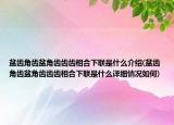 盆齿角齿盆角齿齿齿相合下联是什么介绍(盆齿角齿盆角齿齿齿相合下联是什么详细情况如何)