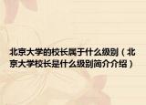 北京大学的校长属于什么级别（北京大学校长是什么级别简介介绍）