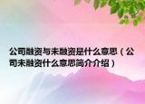 公司融资与未融资是什么意思（公司未融资什么意思简介介绍）