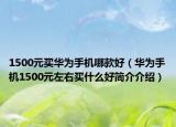 1500元买华为手机哪款好（华为手机1500元左右买什么好简介介绍）