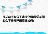 樱花动漫怎么下动漫介绍(樱花动漫怎么下动漫详细情况如何)