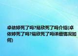 卓依婷死了吗?易欣死了吗介绍(卓依婷死了吗?易欣死了吗详细情况如何)