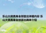 乐山大佛真身全部露出详细内容 乐山大佛真身全部露出具体介绍