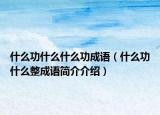 什么功什么什么功成语（什么功什么整成语简介介绍）
