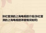 孙红雷演的上海电视剧介绍(孙红雷演的上海电视剧详细情况如何)