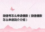 微信号怎么申请借款（微信借款怎么申请简介介绍）