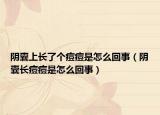 阴囊上长了个痘痘是怎么回事（阴囊长痘痘是怎么回事）